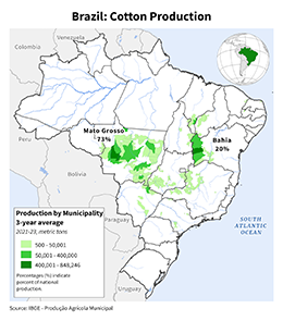 images\BR\cropprod\Brazil_Cotton_preview.png